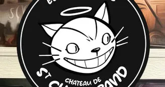 Château de St Chamarand - T3