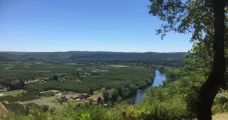 Point de vue