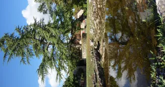 bourg de Fontanes du Causse (19)