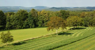 La Grange Du Bos