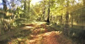 La Grange Du Bos
