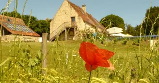 Gite " La Grange du bos "