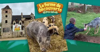campagne-facebook-ferme-st-pierre-lafeuiile-03 campagne-facebook-ferme-st-pierre-lafeuiile-03