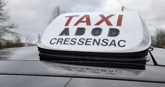 Des chauffeurs de confiance pour vos transports