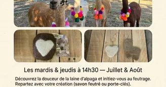 Accueil