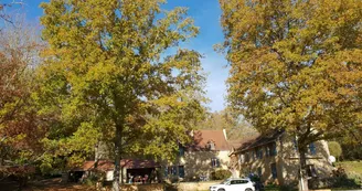 Domaine Du Bois Noir