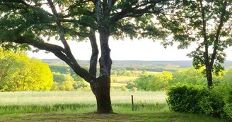 Camping Les Hirondelles