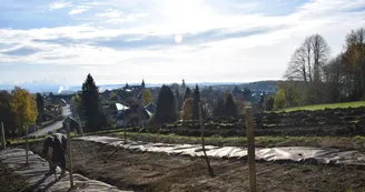 Belvédère du Puy Foissac_1