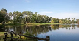 Saint Foy - Etang - Nature (4) Saint Foy - Etang - Nature (4)