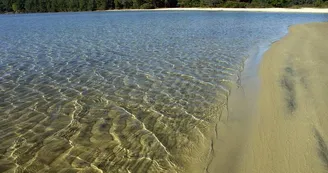 Lac de Cazaux