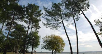 Plage de Laouga