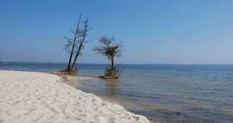 Plage de Laouga
