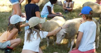 Animation ferme