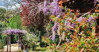 La Colline Sarlat (5)