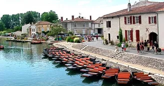 Coulon