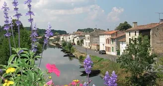 Coulon