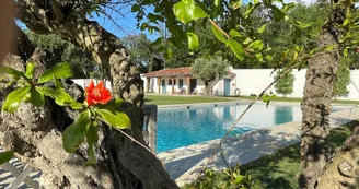 Château de Larraldia-piscine