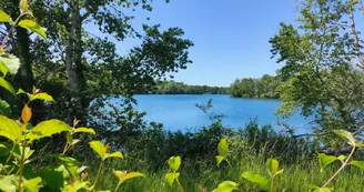 lac 2