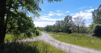 Lacs de Laroin - Laroin - parcours 2
