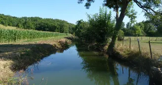 conchez-de-bearn moulin sabathier credit SMT bearn madiran  (35)