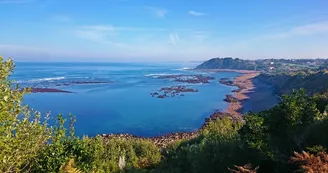 Plage d'Erromardie Saint jean de luz - Yoni