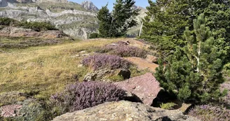 Espace du Somport en été 3