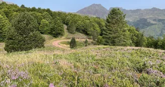 Espace du Somport en été 4