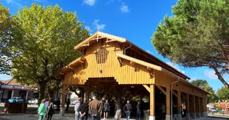 halle cazaline halle cazaline