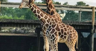 zoo du bassin d'arcachon 3