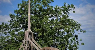 Chateau-de-Monts-sur-Guesnes-2022 - Atelier Trébuchet