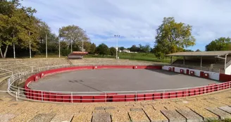 Arènes Arènes