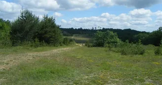 causse