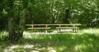 pique nique causse1