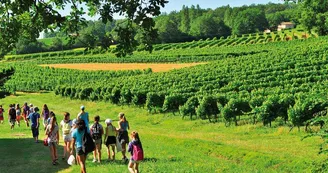 Village Vacances VTF Domaine de Peyrichoux
