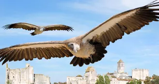Géants du Ciel_1 Géants du Ciel_1