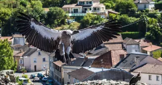 Géants du Ciel_8 Géants du Ciel_8