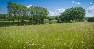 Balade du Domaine