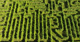 Labyrinthe