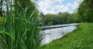 Busserolles - Étang
