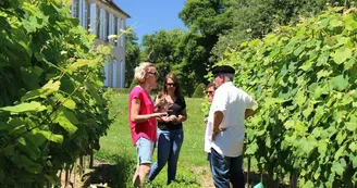 animation viticole Madiran crédit photo guide bearn pyrenees - Copie