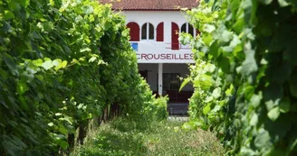 Cave-de-Crouseilles-Crouseilles-vignoble-du-Madiran-et-Pacherenc-du-VicBilh-2