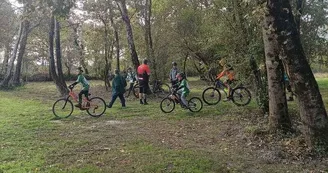 Base VTT Fargues