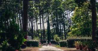 Camping-la-civelle-landes-atlantique-sud-cap--5-