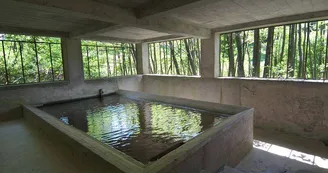 le lavoir_1