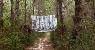 Usine végétale 5