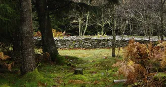 Tumulus du Puy de Plane_2