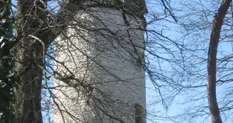 moulin2