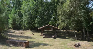 DSC-4948