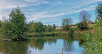 etangs communaux beugnon thireuil etangs communaux beugnon thireuil