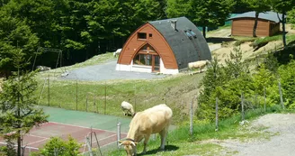 tennis-foret-iraty tennis-foret-iraty